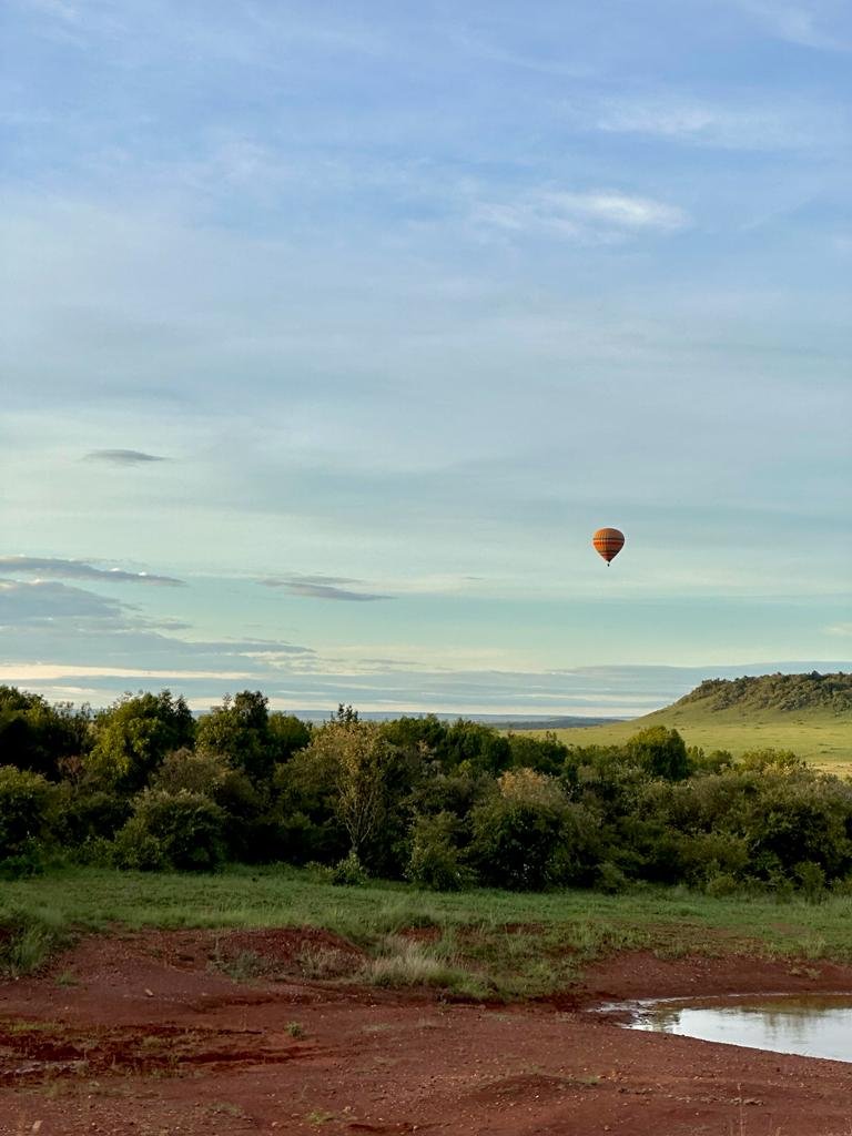 African safari landscape