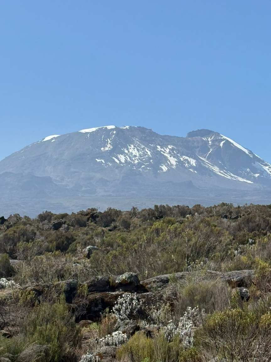 Mount Rwenzori Climbing
