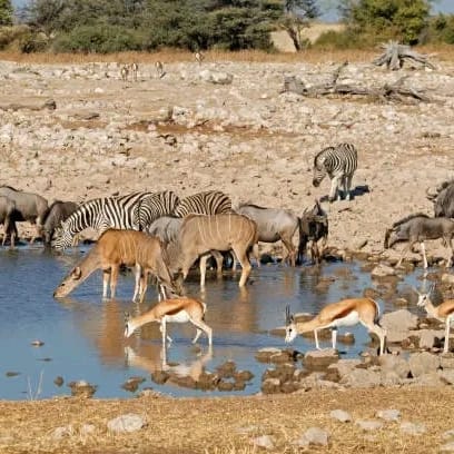 Rift Valley Lakes: 8 Days Lake Expedition​